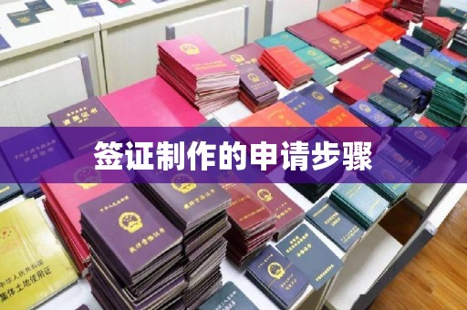 确山签证制作的申请步骤