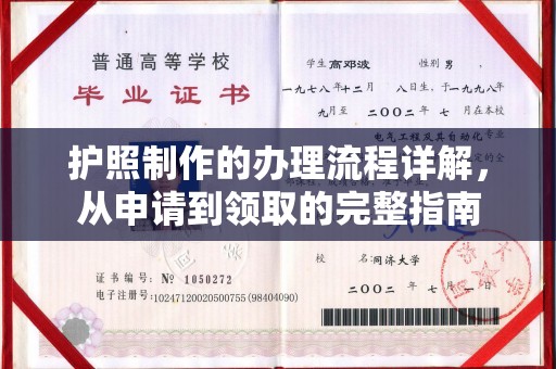 确山护照制作的办理流程详解，从申请到领取的完整指南