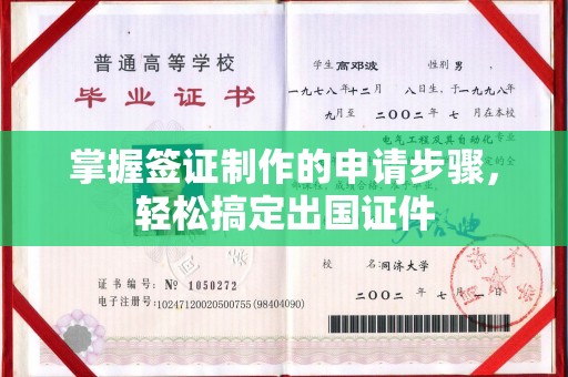 确山掌握签证制作的申请步骤，轻松搞定出国证件