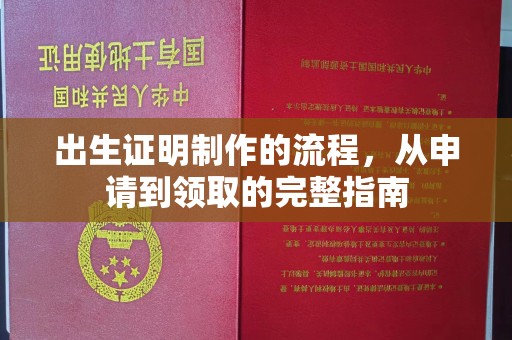 确山出生证明制作的流程，从申请到领取的完整指南