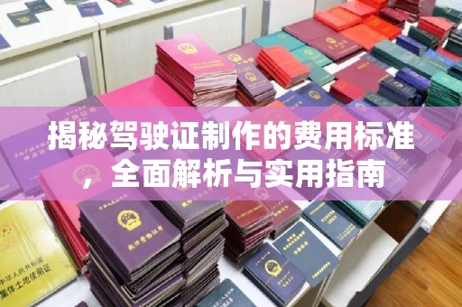 确山揭秘驾驶证制作的费用标准，全面解析与实用指南